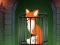 Leikur Fox in the Forgotten Ruins á netinu