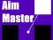 Leikur Aim Master á netinu