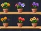Leikur Good Flower Master á netinu