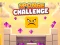 Leikur Sponge Challenge á netinu