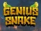 Leikur Genius Snake á netinu