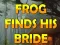 Leikur Frog Finds His Bride á netinu