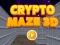 Leikur Crypto Maze 3D á netinu