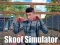 Leikur Skoof Simulator á netinu