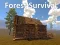 Leikur Forest Survival á netinu