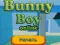 Leikur Bunny Boy Online á netinu