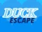 Leikur Duck Escape á netinu