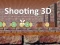 Leikur Shooting 3D á netinu