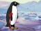 Leikur Heal the Wounded Penguin á netinu