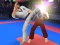 Leikur Karate Fighter á netinu