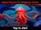 Leikur Squid Game In Dalgona Panic á netinu