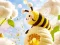 Leikur Find The Differences: Little Bee's Adventure á netinu