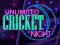 Leikur Unlimited Cricket Night á netinu