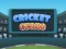 Leikur Cricket Craze á netinu