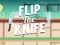 Leikur Flip the Knife á netinu