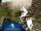 Leikur Ertugrul Gazi Horse Sim á netinu