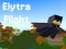 Leikur Elytra Flight á netinu