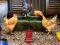 Leikur Poultry Farm Easter Escape á netinu