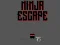 Leikur Ninja escape á netinu