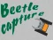 Leikur Beetle Capture á netinu