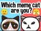Leikur Which Meme Cat Are You? á netinu