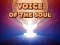 Leikur Voice Of The Soul á netinu