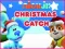 Leikur Nick Jr. Christmas Catch á netinu