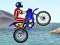 Leikur FMX team á netinu