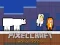 Leikur PixelCraft Animal School á netinu