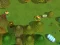 Leikur Worms Combat Coop á netinu