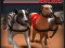 Leikur Greyhound Racing á netinu