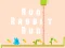 Leikur Run Rabbit Run á netinu