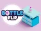 Leikur Bottle Flip á netinu