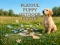 Leikur Playful Puppy Outdoor Puzzle á netinu