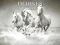 Leikur Horses Puzzle á netinu