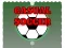 Leikur Casual Soccer á netinu