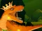 Leikur The Dino King á netinu