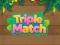 Leikur Triple Matched á netinu