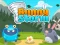 Leikur Bunny Storm á netinu