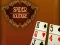 Leikur Spider Solitaire á netinu