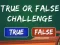 Leikur  True Or False Challenge á netinu