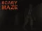 Leikur Scary Maze á netinu