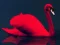 Leikur Love Birds Puzzle á netinu
