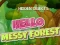 Leikur Hidden Objects Hello Messy Forest á netinu