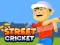 Leikur Street Cricket á netinu