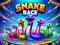 Leikur Snake Race á netinu
