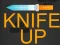 Leikur Knife Up á netinu