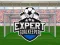 Leikur Expert Goalkeeper á netinu