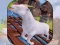 Leikur Angry Goat Wild Animal Rampage á netinu
