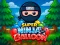 Leikur Super Ninja Balloon á netinu